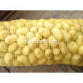 Batatas frescas orgânicas da produção de Shandong Tengzhou holland